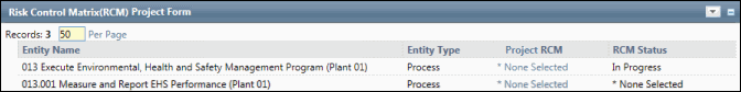 RCM Audit Form