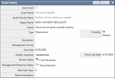 Audit Finding Form