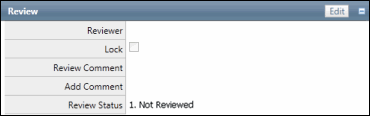 Audit Review Form